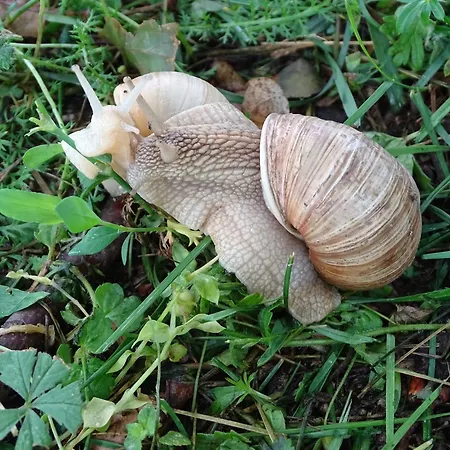 Appartamento Pod Vápenkami