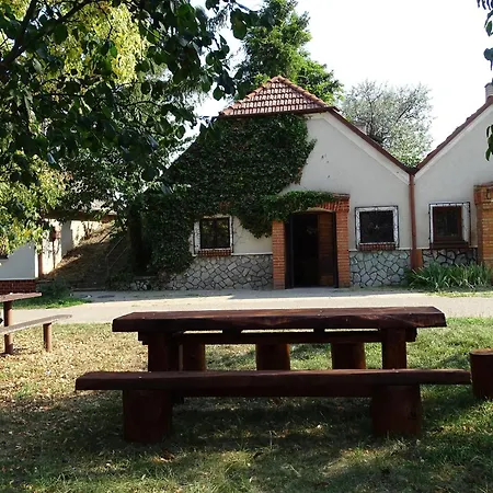 Pod Vápenkami Appartamento Skalica