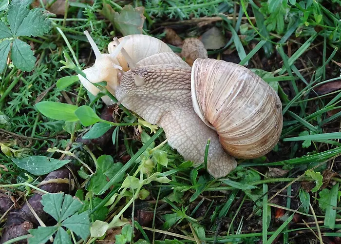 Διαμέρισμα Pod Vapenkami