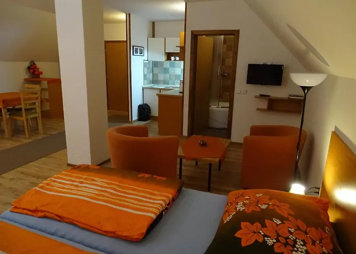 Διαμέρισμα Pod Vapenkami *