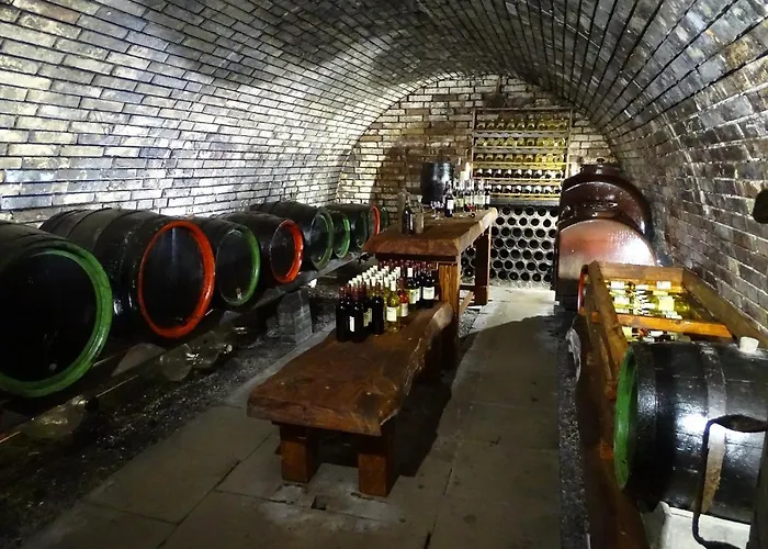 Pod Vapenkami Διαμέρισμα