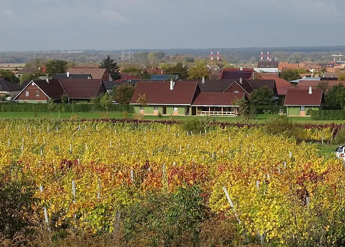 Pod Vapenkami Skalica